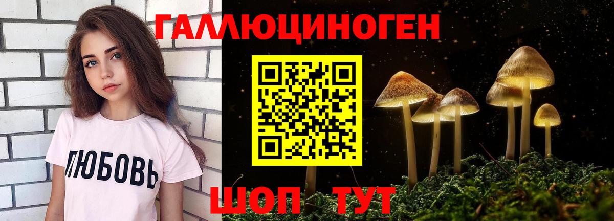 Александров  Псилоцибиновые грибы Psilocybe  Вход с VPN 