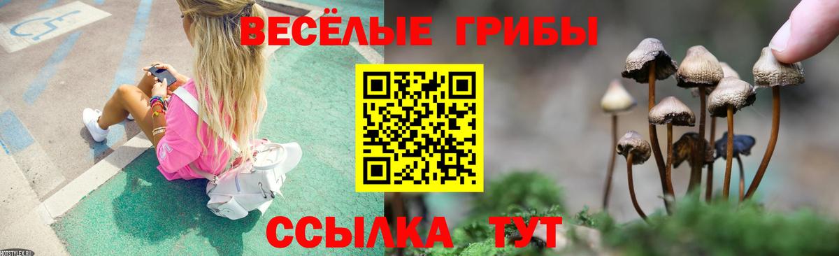 Псилоцибиновые грибы ЛСД Александров